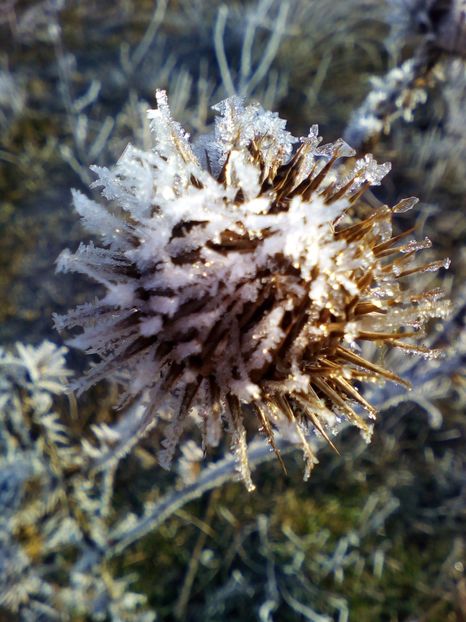  - curtea cu toate cele 2018