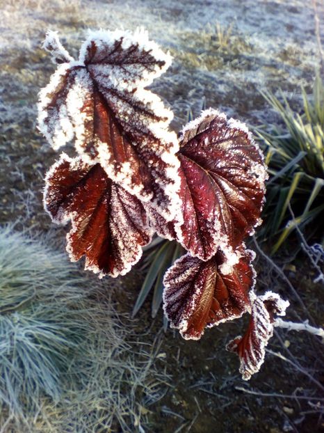  - curtea cu toate cele 2018