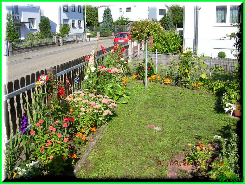 2010.09.13 - Flori 2010