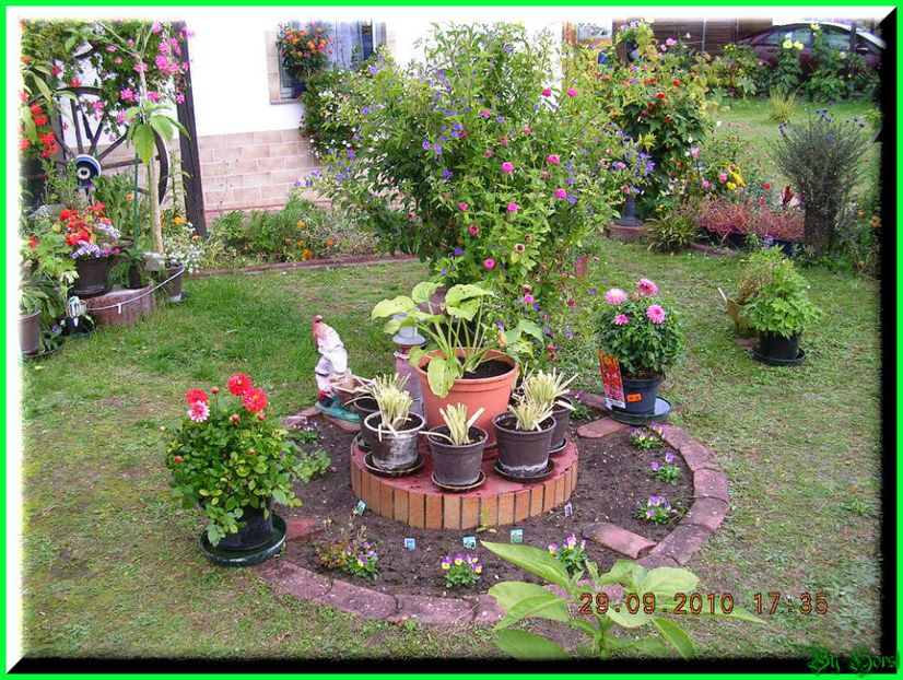 2010.10.03 - Flori 2010