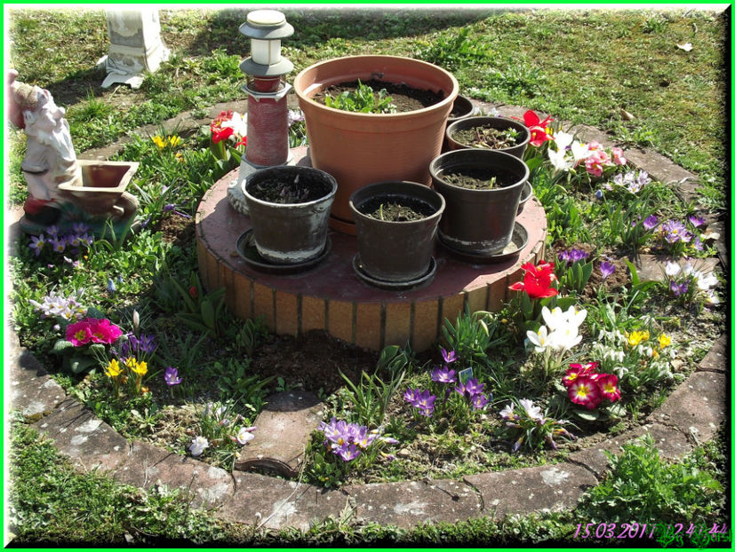 2011.03.15 - Flori 2011 - 1