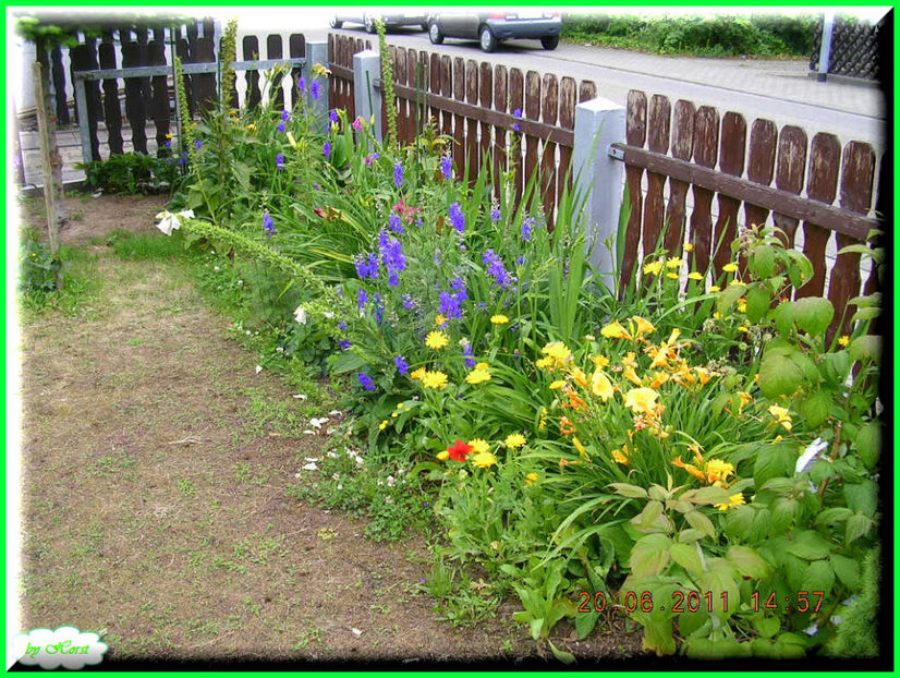 2011.06.20 - Flori 2011 - 1