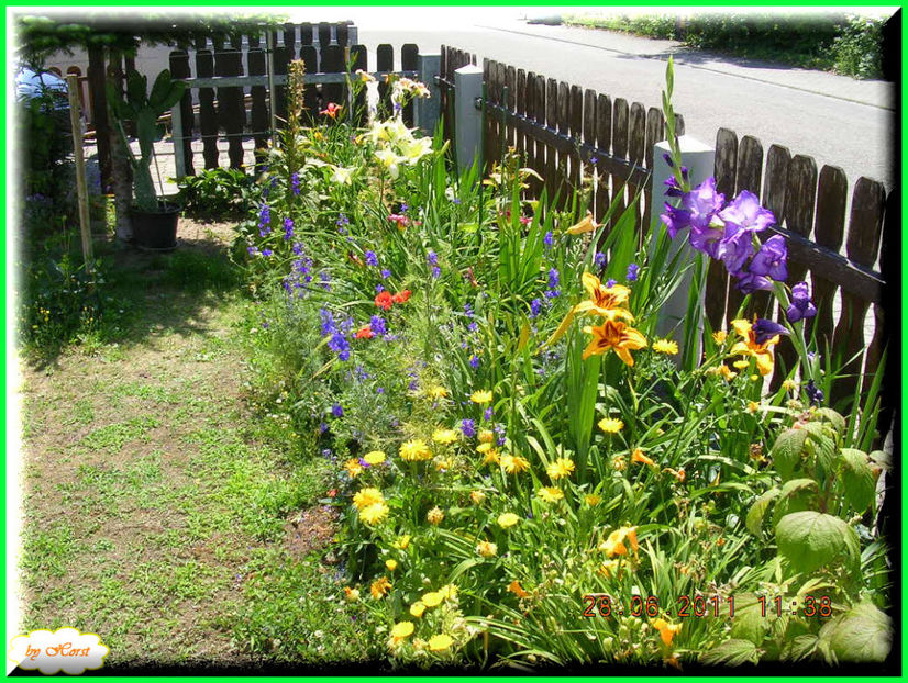 2011.06.28 - Flori 2011 - 1