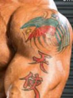  - dave batista