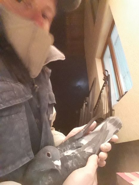  - 2018