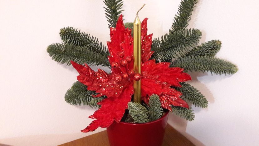 Sarbatori Fericite tuturor :) - Diverse flori