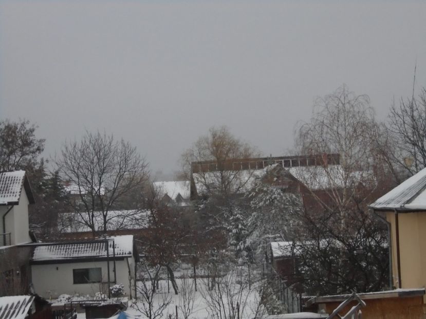 14 dec. 2018 - al treilea viscol - Toamna 2018-2019