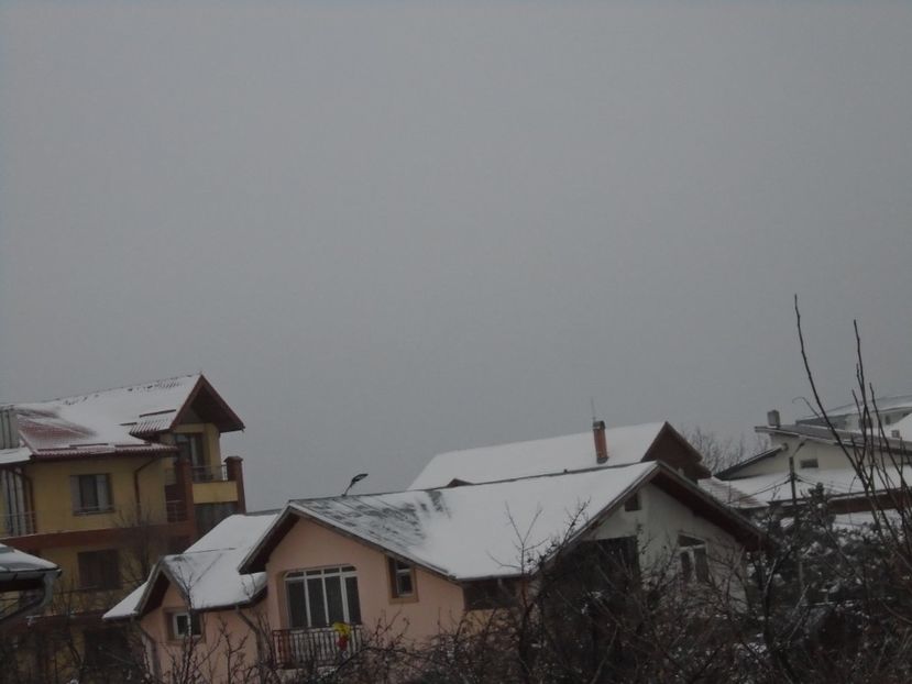 14 dec. 2018 - al treilea viscol - Toamna 2018-2019