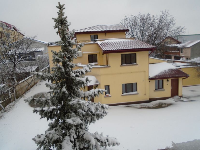 14 dec. 2018 - al treilea viscol - Toamna 2018-2019