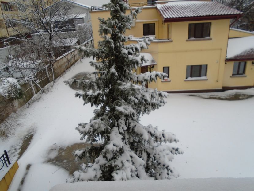 14 dec. 2018 - al treilea viscol - Toamna 2018-2019