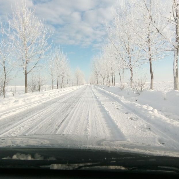 838ae22c-7ccf-49a1-8b61-3f657fdf8c13 - Peisaj de iarna