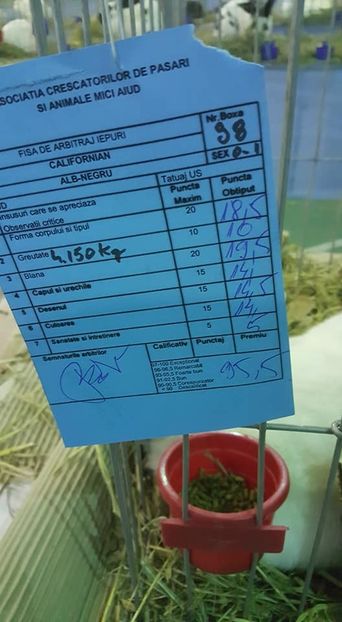  - Expo locala Aiud 2018