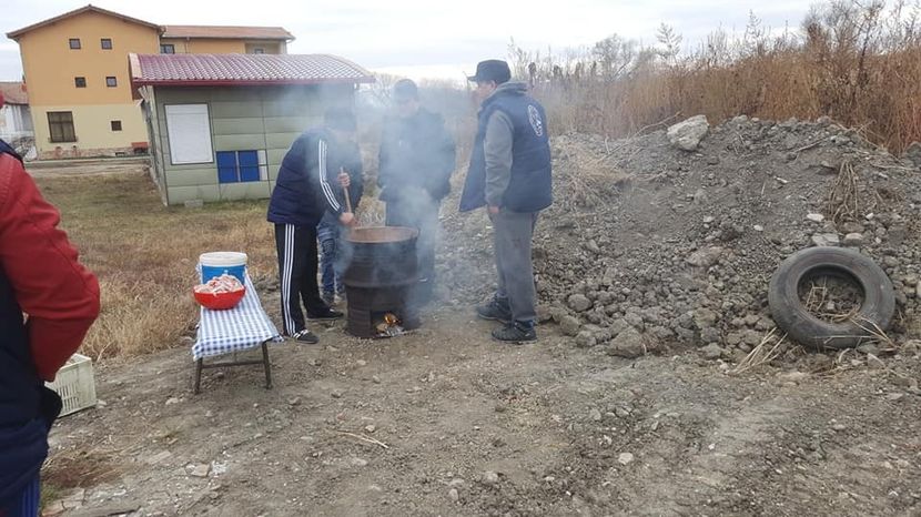  - Expo locala Aiud 2018