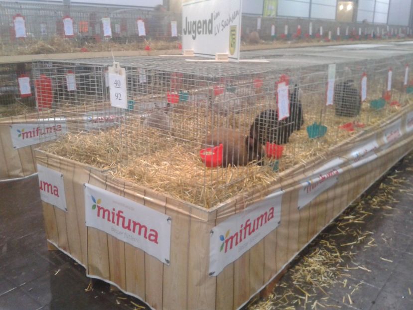 Fotografie0002 - 29---expozitie Leipzig- Germania 2018