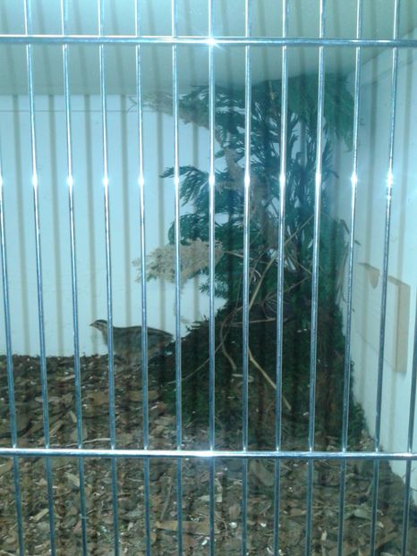 Fotografie0047 - 29---expozitie Leipzig- Germania 2018