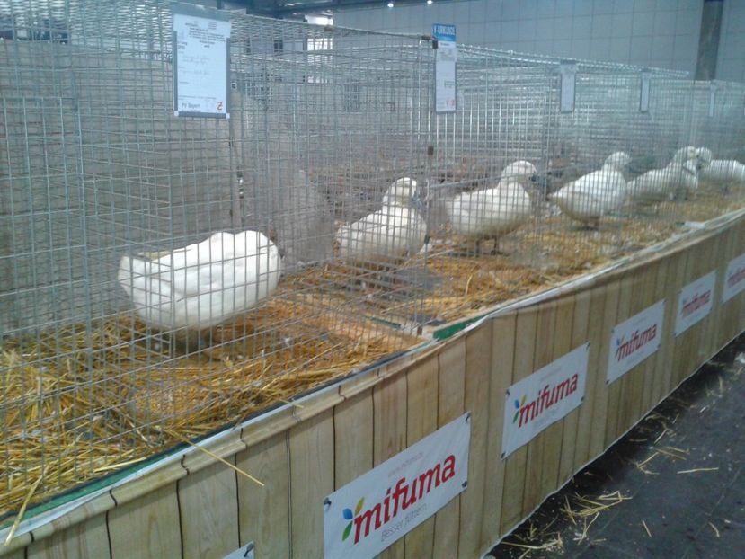 Fotografie0158 - 29---expozitie Leipzig- Germania 2018