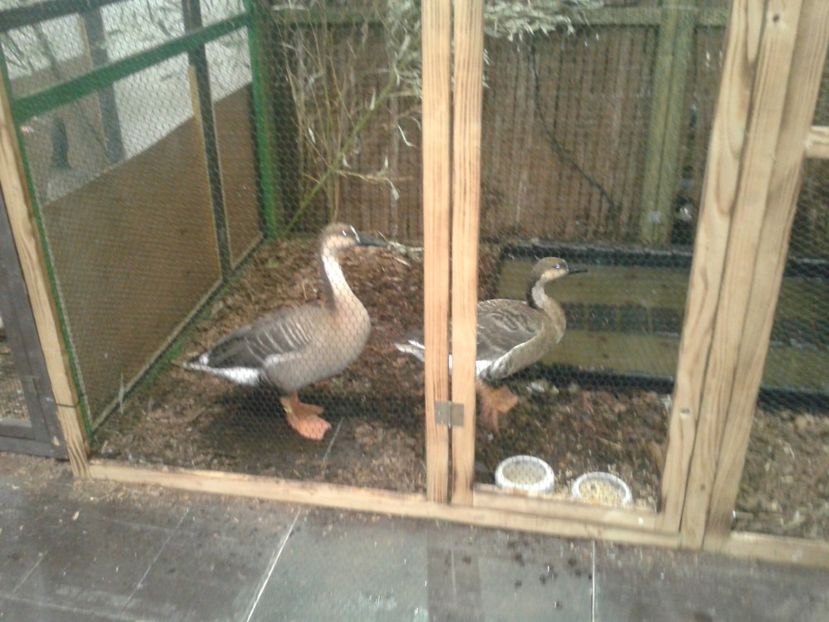 Fotografie0199 - 29---expozitie Leipzig- Germania 2018