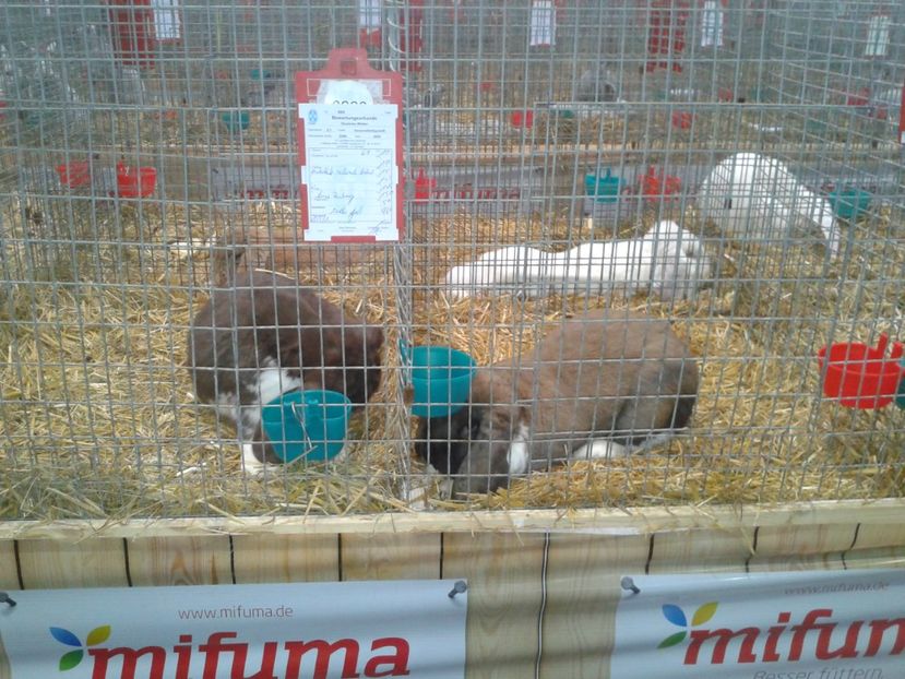 Fotografie0201 - 29---expozitie Leipzig- Germania 2018