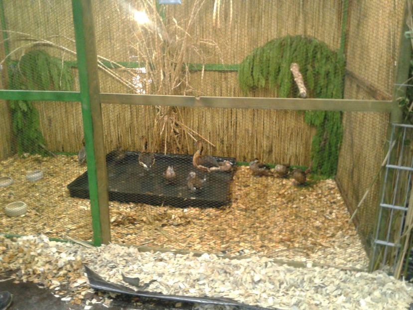 Fotografie0205 - 29---expozitie Leipzig- Germania 2018