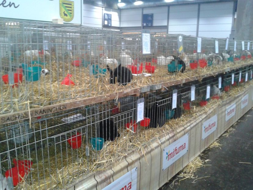 Fotografie0211 - 29---expozitie Leipzig- Germania 2018