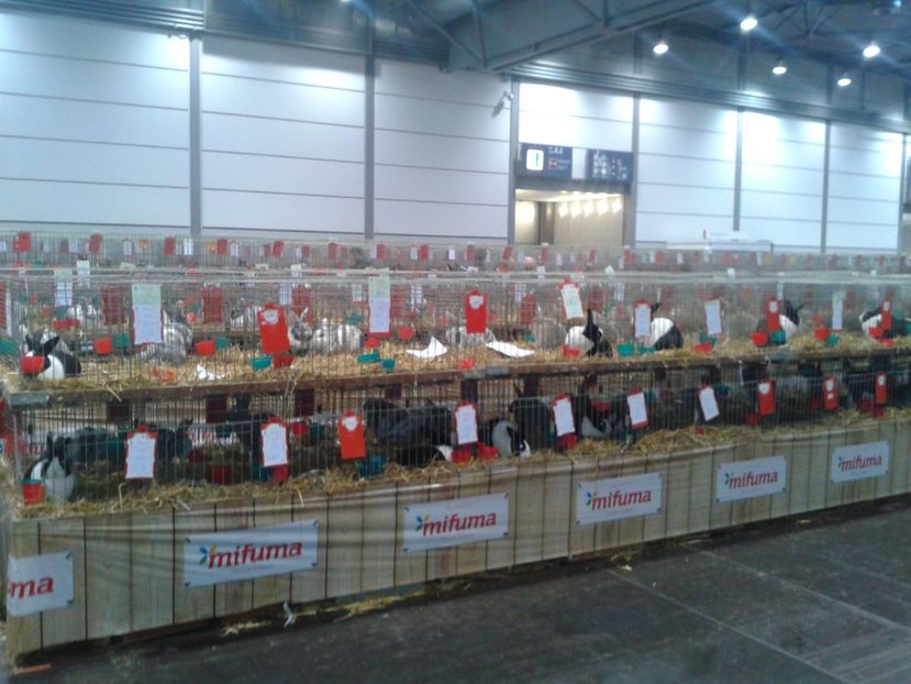 Fotografie0214 - 29---expozitie Leipzig- Germania 2018