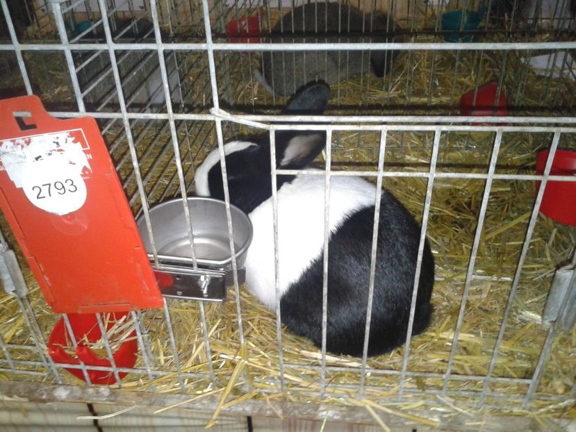 Fotografie0216 - 29---expozitie Leipzig- Germania 2018