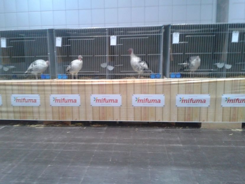 Fotografie0254 - 29---expozitie Leipzig- Germania 2018