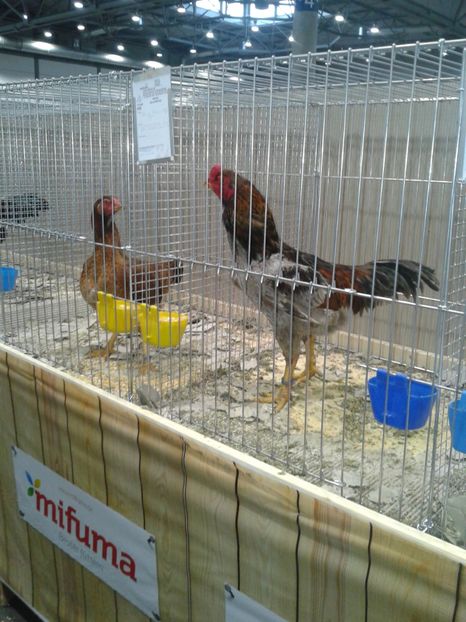 Fotografie0368 - 29---expozitie Leipzig- Germania 2018