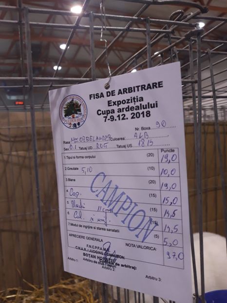  - 0 Expo cupa Ardealului Ludus 2018