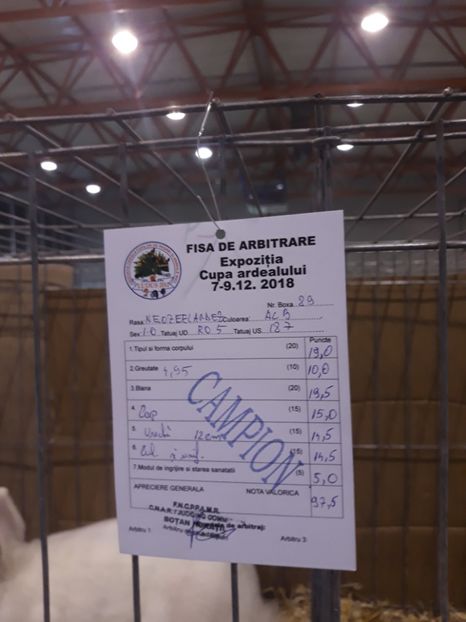  - 0 Expo cupa Ardealului Ludus 2018
