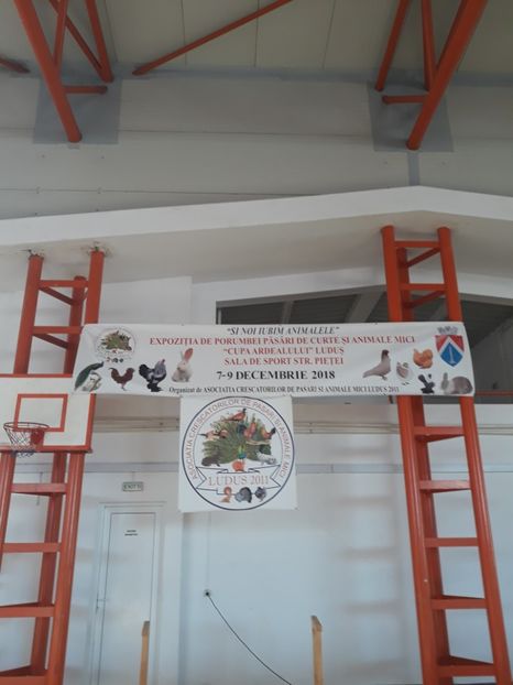  - 0 Expo cupa Ardealului Ludus 2018