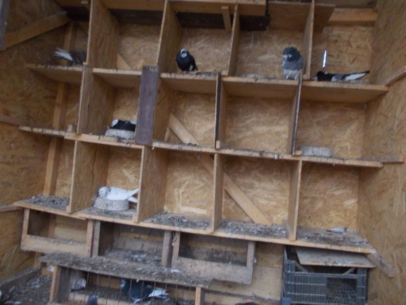  - Rolleri de Birmingham