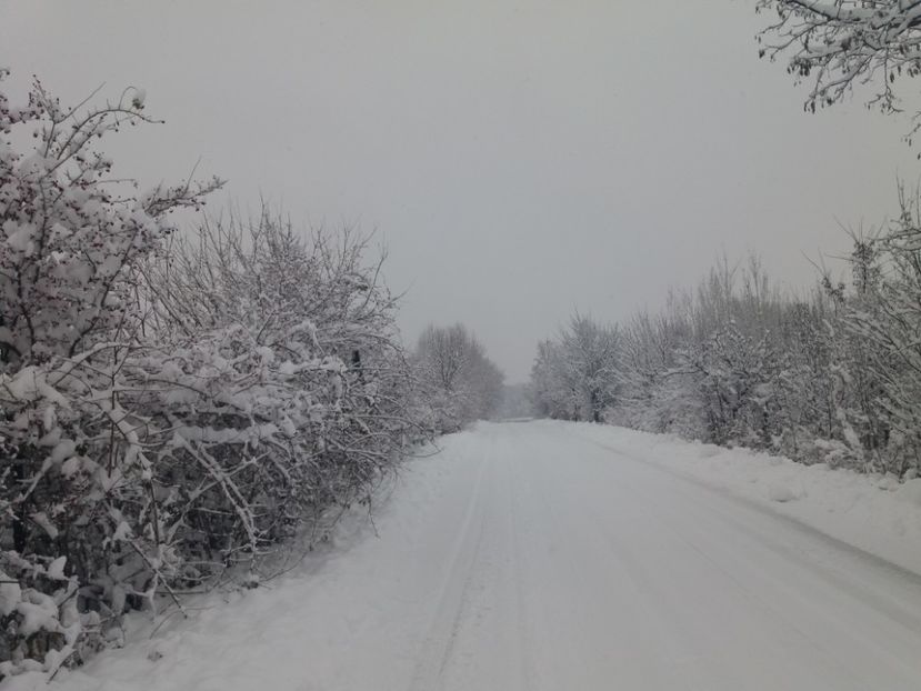  - Zăpadă decembrie 2018