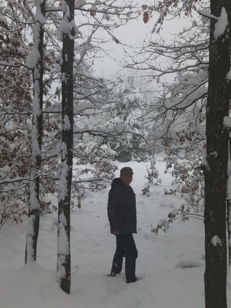  - Zăpadă decembrie 2018