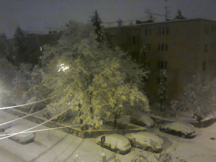 Fotografie4801 - 2018 Ninge 16 dec