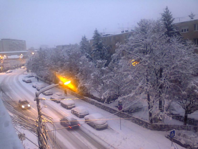 Fotografie4805 - 2018 Ninge 16 dec