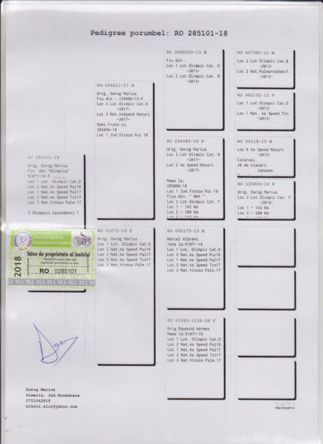 ped 'De 101' - De 101