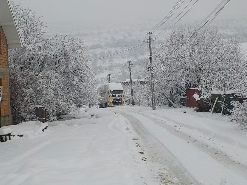 iarna pe ulita - Iarna 2018-2019