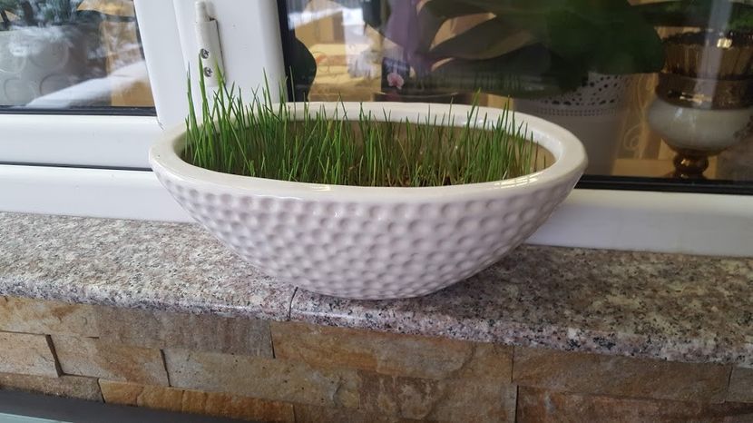 20181218_150258 (1) - Decembrie 2018