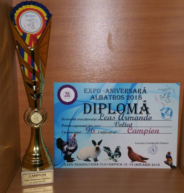 20181217_234331-1 - A- Cupe-Diplome-Medalii