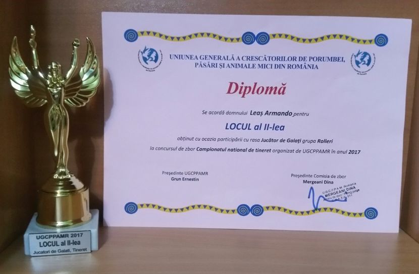 20181217_235447-1 - A- Cupe-Diplome-Medalii