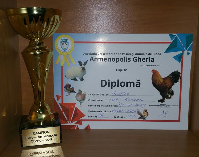 20181218_000336-1 - A- Cupe-Diplome-Medalii