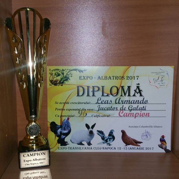 20181218_000750-1 - A- Cupe-Diplome-Medalii