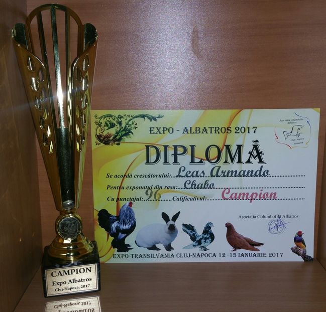 20181218_001010-1 - A- Cupe-Diplome-Medalii