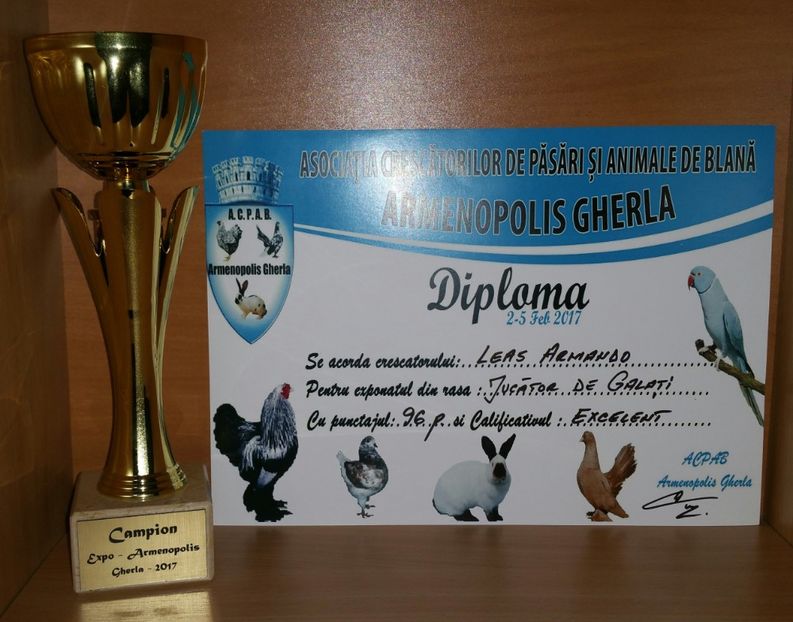 20181218_001254-1 - A- Cupe-Diplome-Medalii