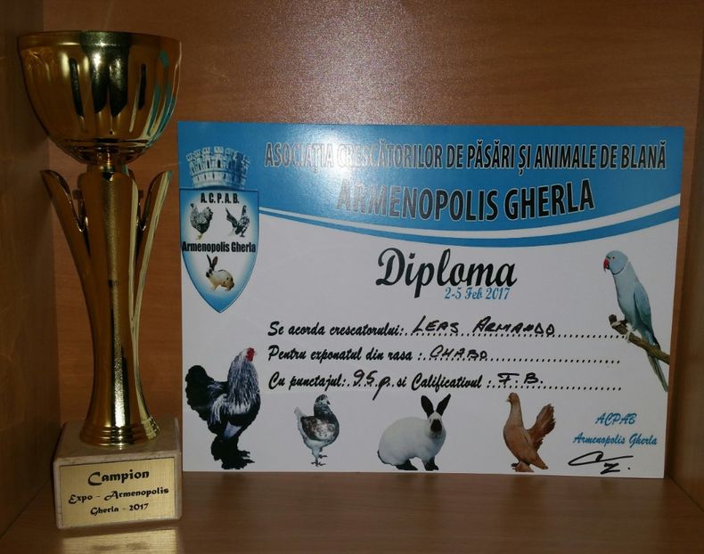 20181218_001452-1 - A- Cupe-Diplome-Medalii