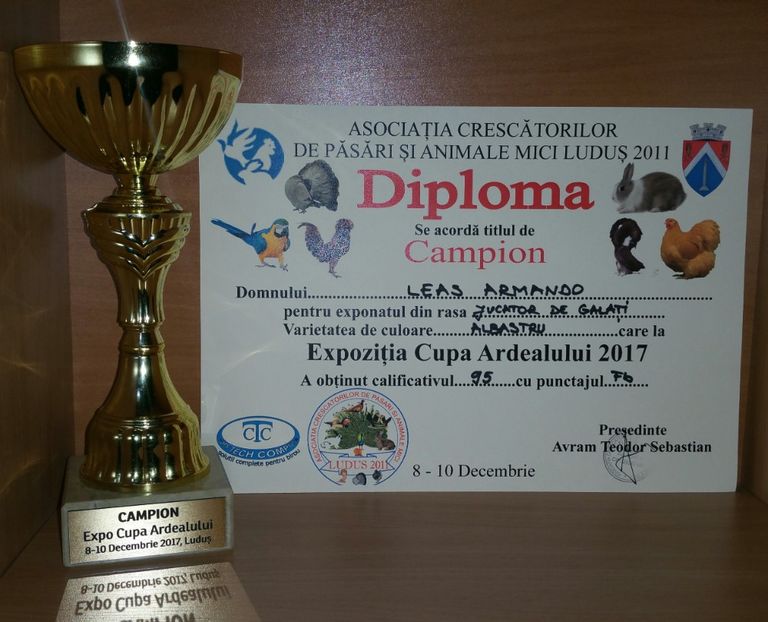 20181218_001758-1 - A- Cupe-Diplome-Medalii