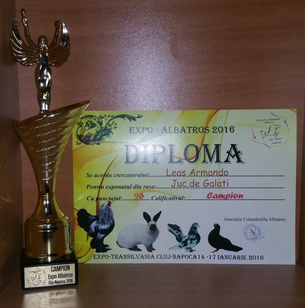 20181218_002551-1 - A- Cupe-Diplome-Medalii
