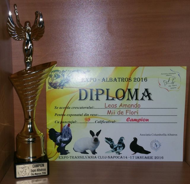 20181218_002722-1 - A- Cupe-Diplome-Medalii