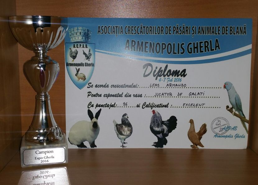 20181218_003035-1 - A- Cupe-Diplome-Medalii